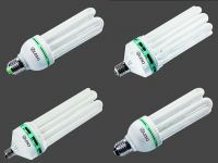 U compact fluorescent lamps