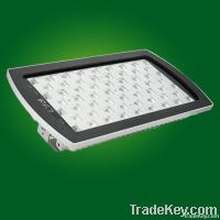 60W High Power LED Flood Light