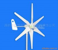 1000w wind turbine-Wind King