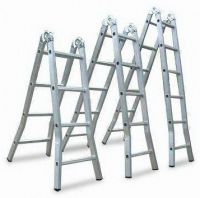 2 Hinge Ladder