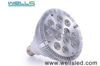 LED Par38 24W