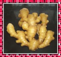 Fresh Yellow Ginger