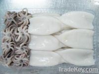 Frozen-Squid-Tube-and-Tentalce.