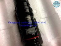 Injector 3016676 CCEC Diesel Engine K19k38nt855