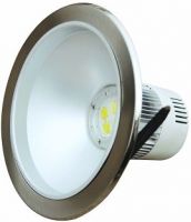 LED Down Light