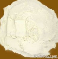 isolated soy protein