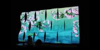 S Shape LED video screen with DesignLED DigiFLEX P10mm Flexible LED Video Screen Tiles