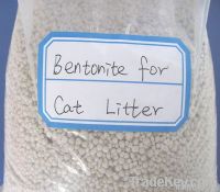 Bentonite Cat Litter