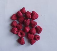 freeze dried  raspberry