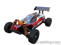 1/10 scale 4WD brushed buggy WOLF