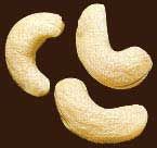 CASHEW  NUT