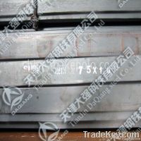 Sup10 Spring Flat Steel