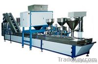 Packing Machine (Nuts, Fruit Chips, Grain) 