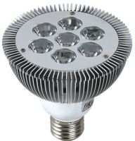 LED Spotlight Par30