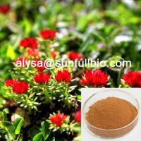 Rhodiola Rosea Extract