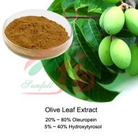 Olive Leaf Extract 20%~80% Oleuropein