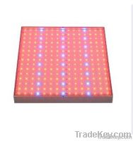 SMD 14W Hydro Cree LED Grow Panels