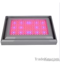 Water-Proof 300W LED Grow Lights