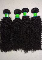 Indian Virgin Hair Weaves (Kinky Curly Pattern)