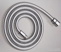 SS Extensible Shower Hose