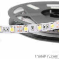 Non-Waterproof 5050 LED Strip Lighting