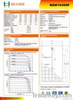 PV solar Module Poly(BDM16498p)