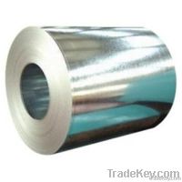 GI (Galvanized Steels)