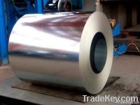 Galvanized Coil