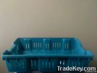 20 Lb.Plastic Harvesting Lug