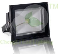 LED flood light--FS225-20W(CE, ROHS, UL)