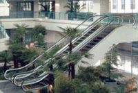 Escalator(CSA C US Certification)