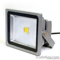 LED Flood Light