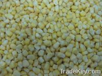 Frozen Sweet Corn