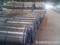 Galvanized Steel Coil