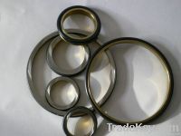 oil seal