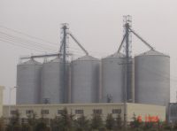 Flat bottom silos for feeds storage