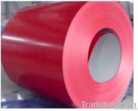 Prepainted steel coil/PPGI