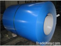 Prepainted steel coil/PPGL