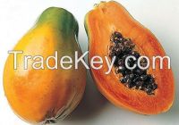 Fresh Papaya