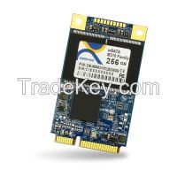 Industrial MSATA Module M310 256GB MLC