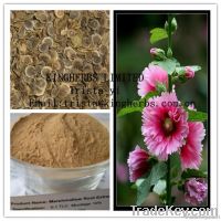 Marshmallow Root Extract