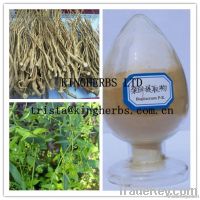 Radix Bupleuri Extract