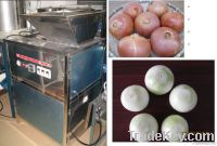 Onion peeling machine