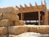 Wheat barn | Wheat barn exporter | Wheat barn importer | Wheat barn supplier | Wheat barn distributor | Wheat barn manufacturer |Animal Feed Supplier | Animal Feed Distributor |Buy Animal Feed Online |Animal Feed Exporter |Animal Feed importer |