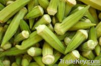 IQF OKRA