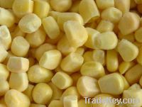 IQF  SWEET CORN KERNELS