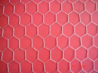 hexagonal wire netting