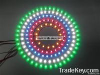 Led Angel eye D40-WG-12SMD-3528