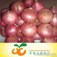 Fresh Red Onion