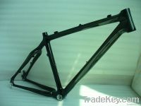 Carbon MTB frame